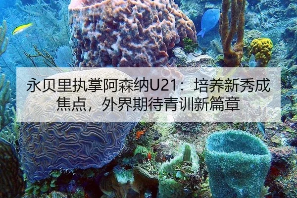 yong-bei-li-zhi-zhang-a-sen-na-pei-yang-xin-xiu-cheng-jiao-dian-wai-jie-qi-dai-qing-xun-xin-pian-zhang-3-519.jpg