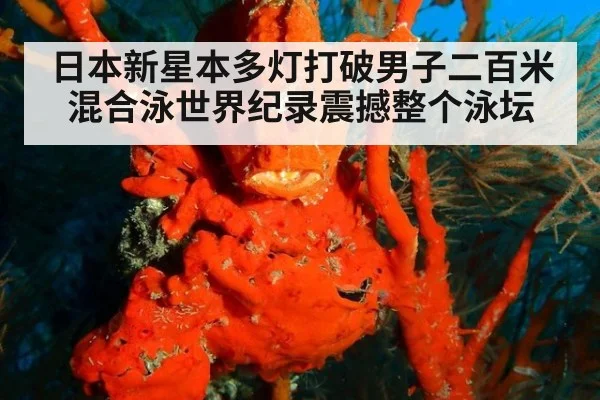 日本新星本多灯打破男子二百米混合泳世界纪录震撼整个泳坛
